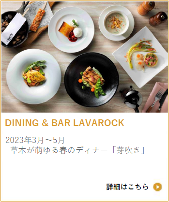 DINING & BAR LAVAROCK 春のディナー2023